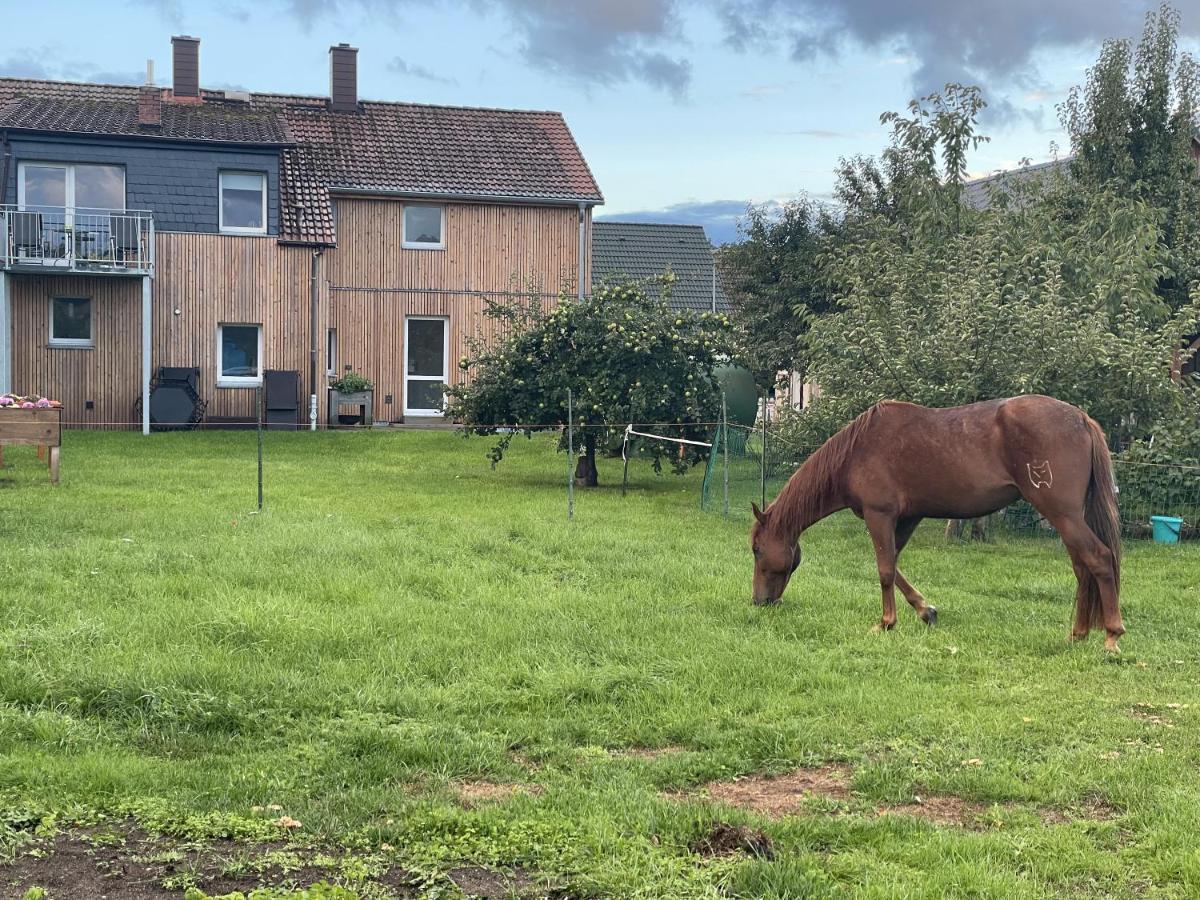 Urlaub Auf Dem Land Lejlighed Triepkendorf Eksteriør billede